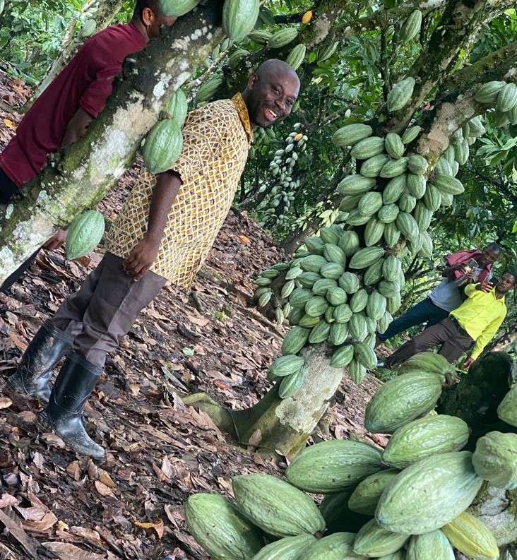 Economics-Pollination-COCOBOD